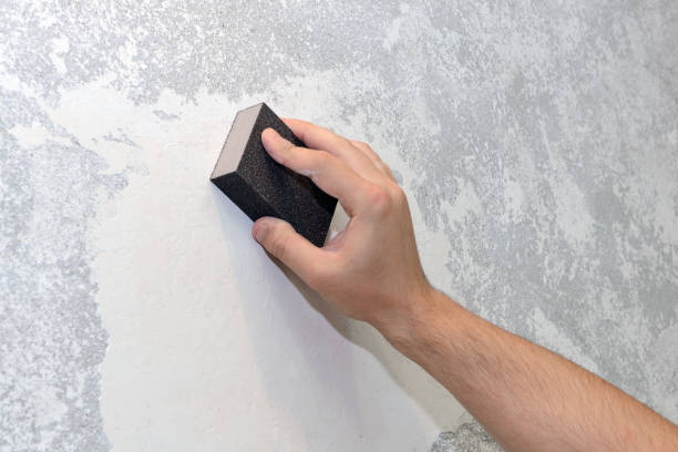 Best Airborne Mold Testing  in Suwanee, GA