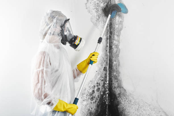 Best Real Estate Mold Inspection  in Suwanee, GA