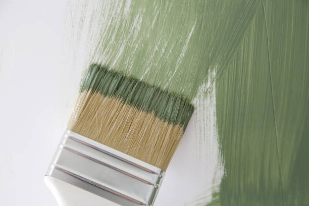Best Basement Mold Removal  in Suwanee, GA