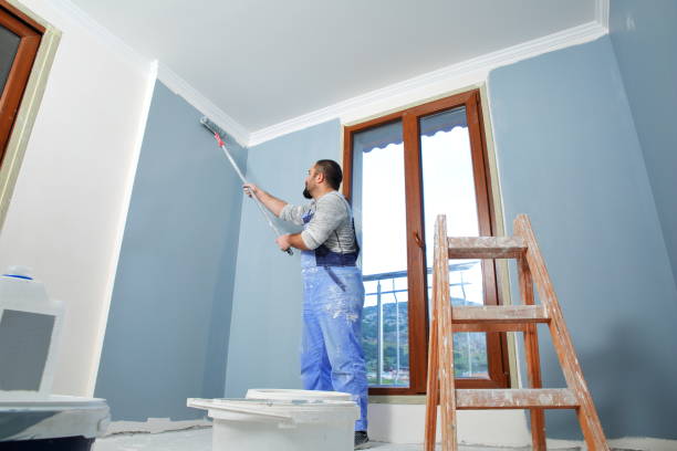 Best Basement Mold Removal  in Suwanee, GA