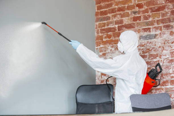 Best Water Damage & Mold Remediation  in Suwanee, GA