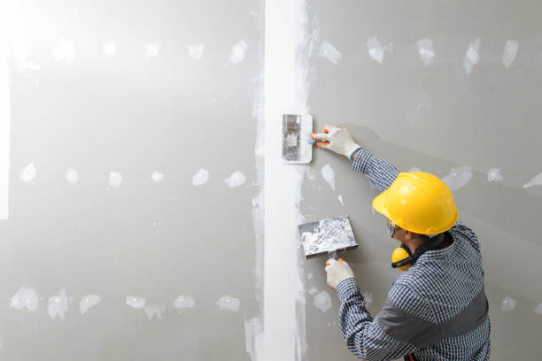 Best Mold Remediation for Healthcare Facilities  in Suwanee, GA