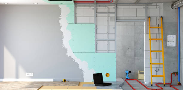 Best Post-Construction Mold Inspection  in Suwanee, GA