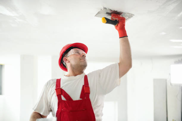 Best Emergency Mold Remediation  in Suwanee, GA