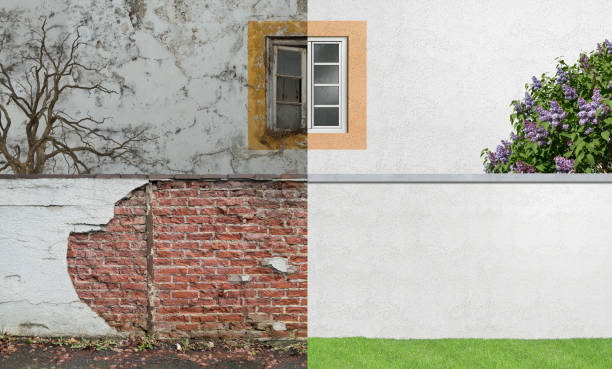 Best Mold Documentation for Insurance Claims  in Suwanee, GA