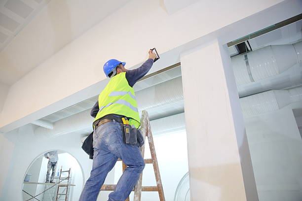 Suwanee, GA Mold Removal Company